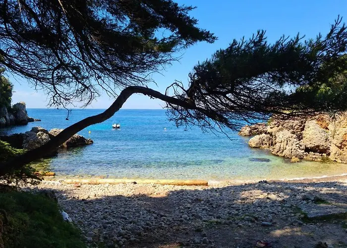 Appartement Tribuperez A Juan-antibes Juan-les-Pins